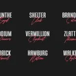 Willstand Duo Font Poster 7
