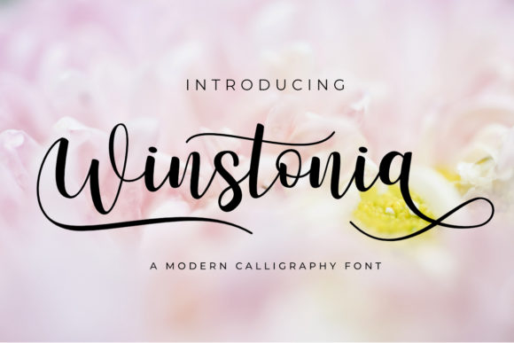 Winstonia Font Poster 1