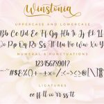 Winstonia Font Poster 8