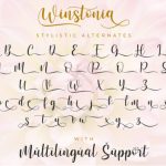 Winstonia Font Poster 9