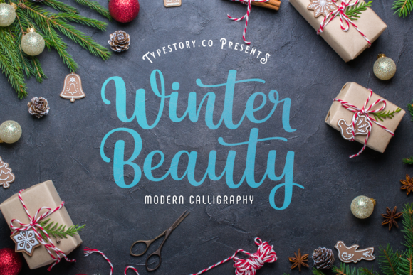 Winter Beauty Font Poster 1