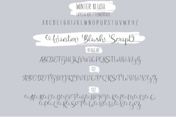 Winter Blush Font Poster 2