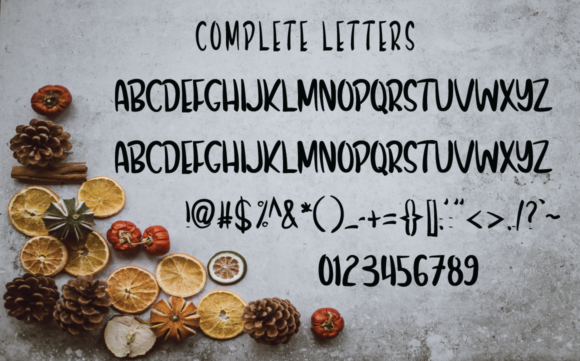 Winter Fall Font Poster 4