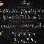 Wiolyna Font Poster 6