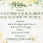 Xiolien Font Poster 6