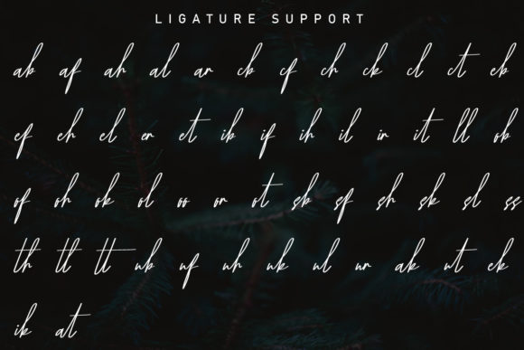 Yestermoon Font Poster 13