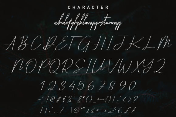Yestermoon Font Poster 10