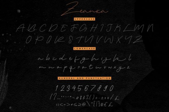 Zeanica Font Poster 4