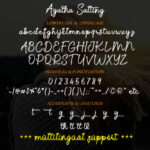 Agatha Salting Font Poster 7