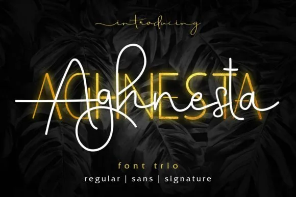Aghnesta Trio Font Aghnesta Trio Font Poster 1