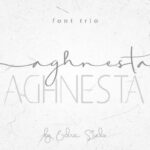 Aghnesta Trio Font Poster 2