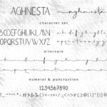 Aghnesta Trio Font Poster 8