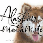 Alaskan Malamute Font Poster 1