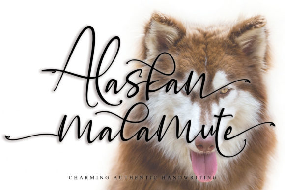 Alaskan Malamute Font Poster 1