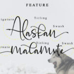 Alaskan Malamute Font Poster 9