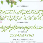 Albias Smug Font Poster 3