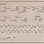 Alessandra Font Poster 6