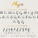 Alloycia Font Poster 4