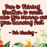 Aloha March Font Poster 6