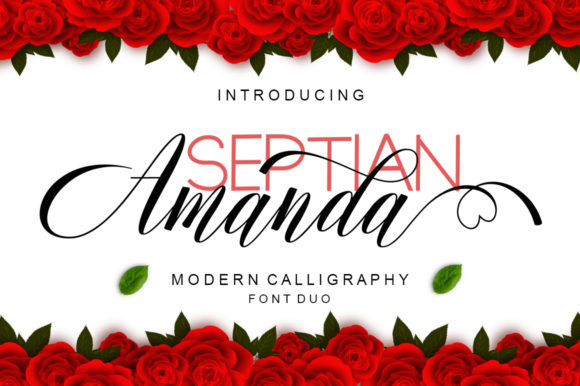 Amanda Font