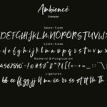 Ambience Font Poster 7