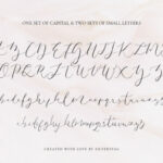 Amelie Font Poster 18