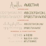 Aneetha Font Poster 5