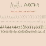 Aneetha Font Poster 8