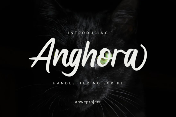 Anghora Font Poster 1