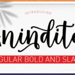 Anindita Font Poster 1