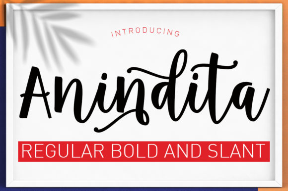 Anindita Font