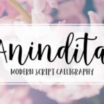 Anindita Font Poster 10