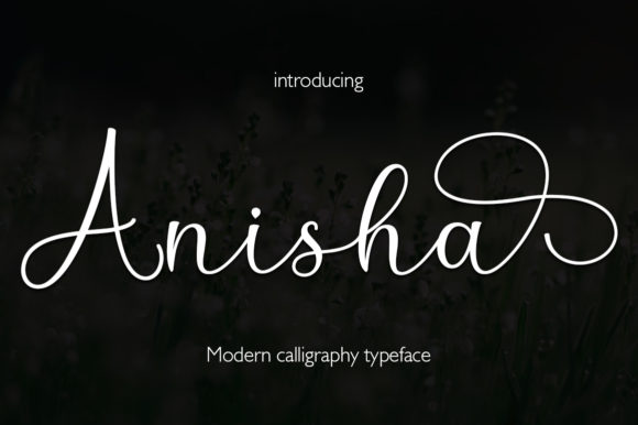 Anisha Font Poster 1