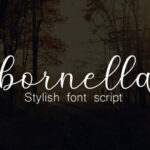 Anisha Font Poster 3