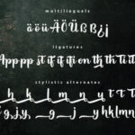 Appetizer Font Poster 7