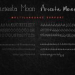 Ariesta Moon Duo Font Poster 8