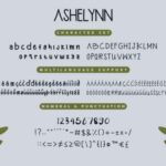 Ashelynn Duo Font Poster 8