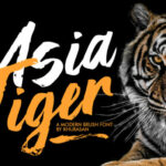 Asia Tiger Font Poster 1
