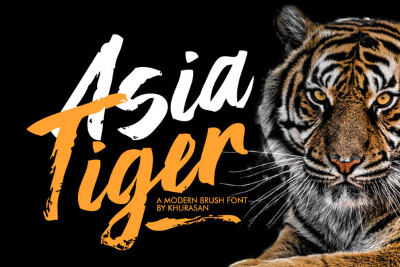 Asia Tiger Font Poster 1