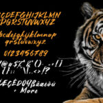 Asia Tiger Font Poster 5