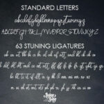 Attachment Font Poster 5