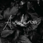 Audina Font Poster 1