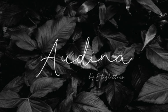 Audina Font Poster 1