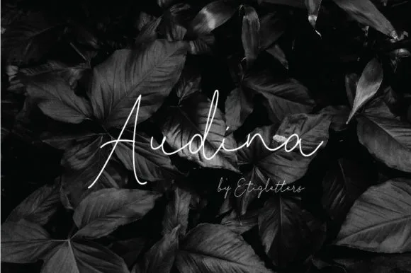 Audina Font Audina Font Poster 1