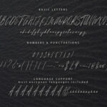 Autograph Font Poster 10