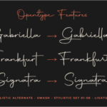 Autography Font Poster 9