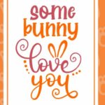 Baby Bunny Font Poster 5