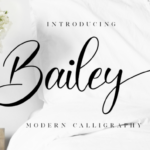 Bailey Font Poster 1