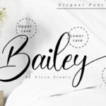Bailey Font Poster 10