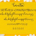 Banitta Family Font Poster 8